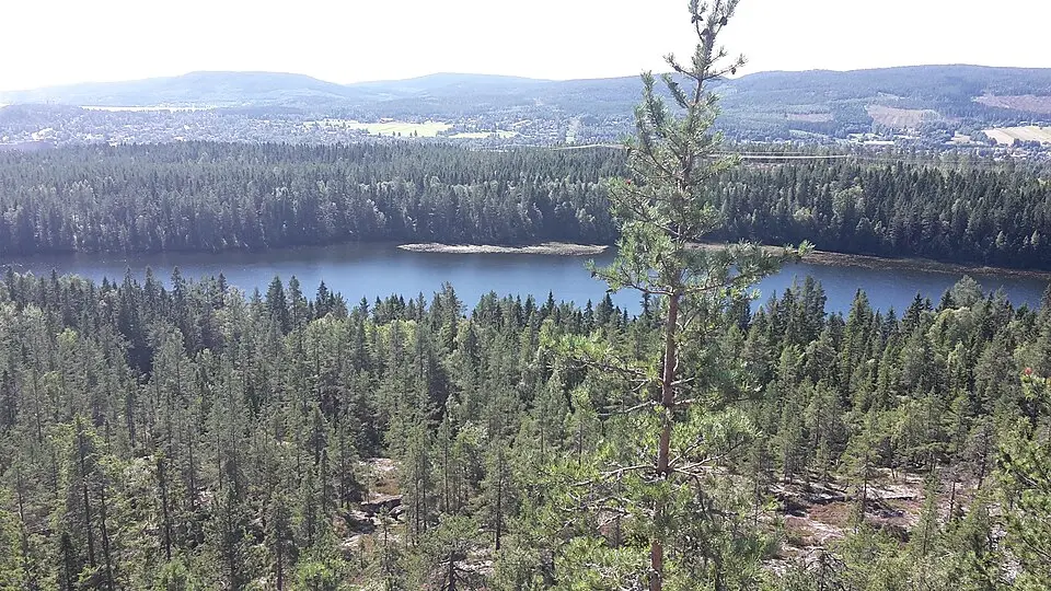 Hörnsjön