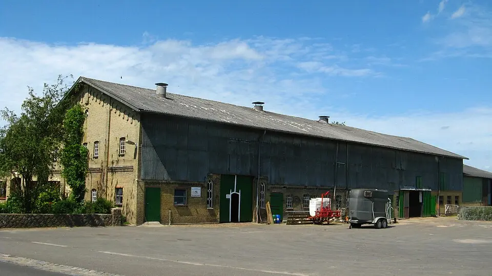 Hövede