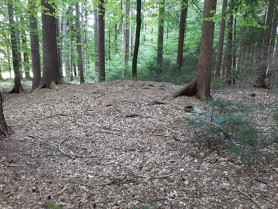 Grabhügel im Stockerwald