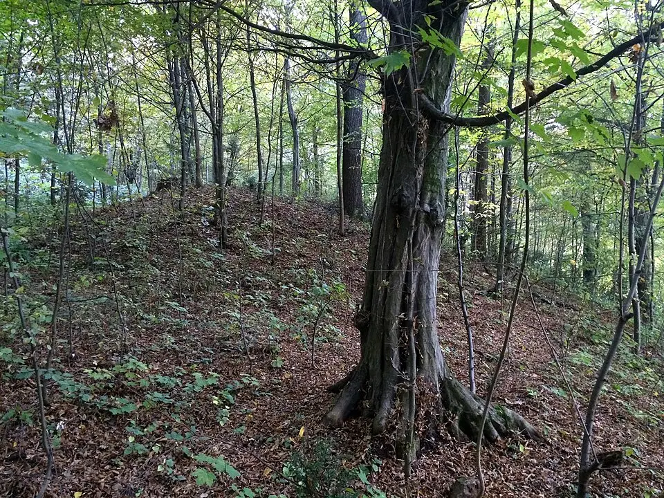 Bild: Andi oisn · CC BY-SA 4.0 Römische Siedlung und Hügelgräber am Katzelbach