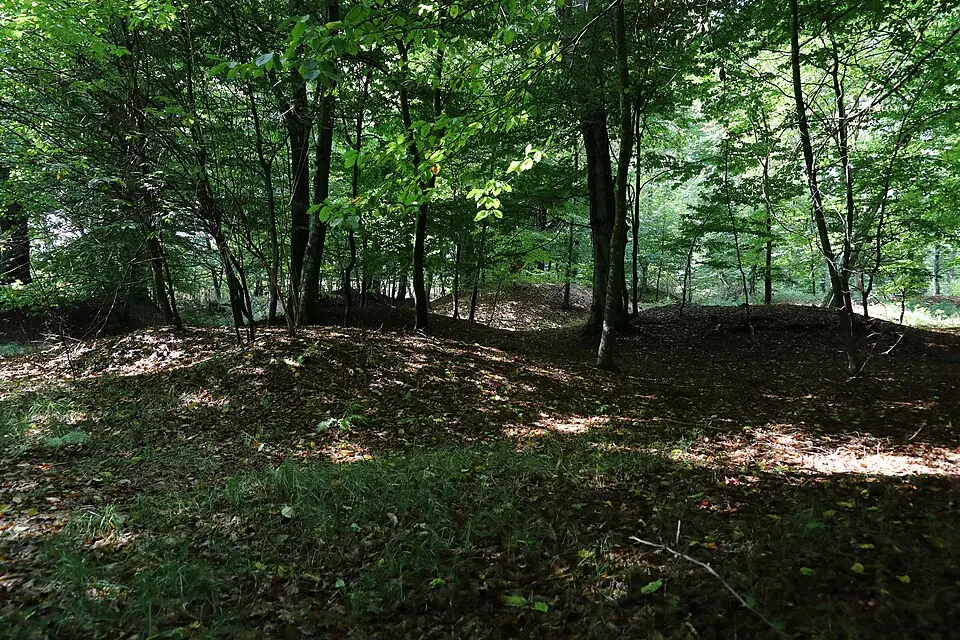 Hügelgräber Gametzholz