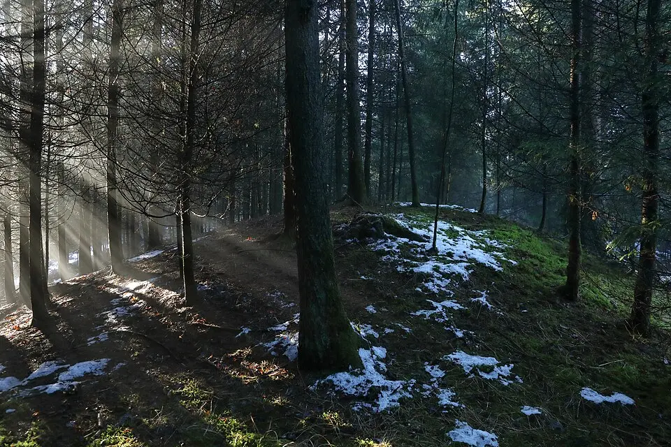 Hügelgräberfeld Neutersdorfer Wald