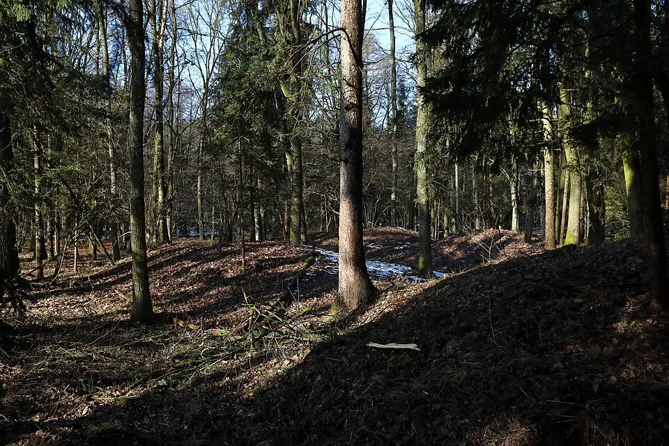 Hügelgräberfeld Hartl