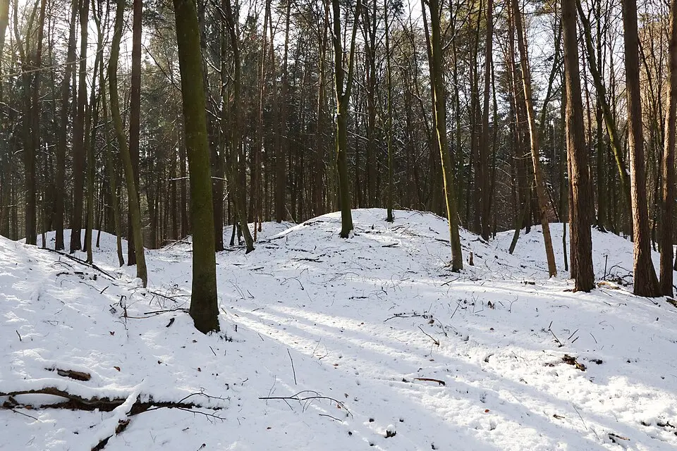 Hügelgräberfeld Ungerdorfer Wald