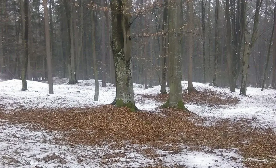 Hügelgräberfeld Giging