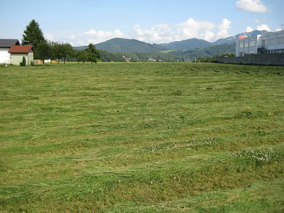 Hügelgräberfeld Ort-Gmunden