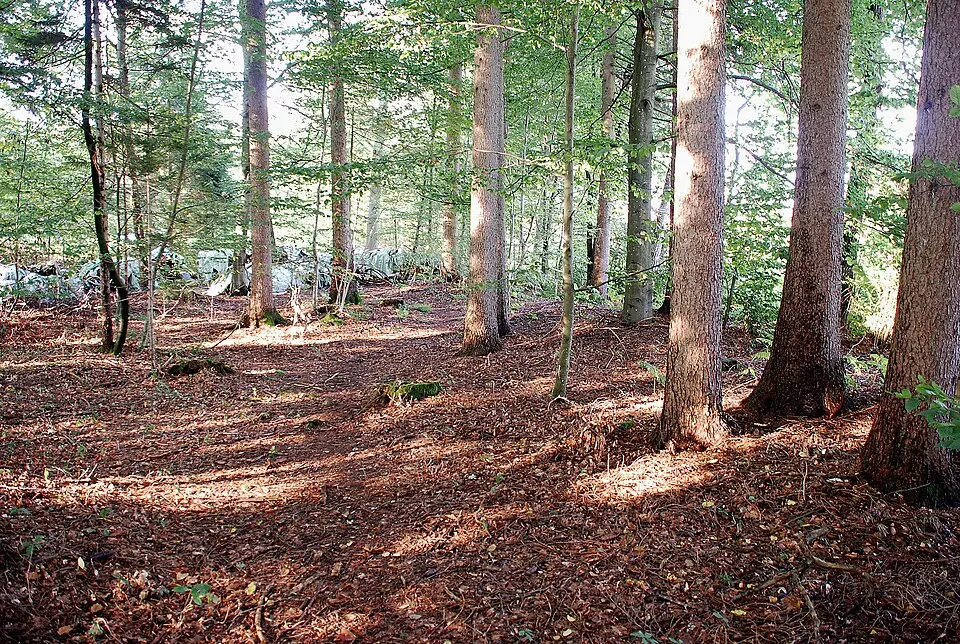 Hügelgräbergruppe Vochera