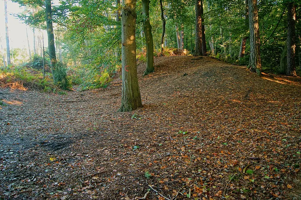 Kép: Günter Seggebäing · CC BY-SA 3.0 Hünenburg
