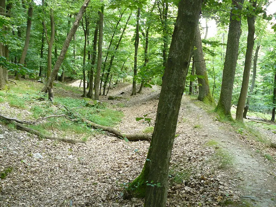 Hünerberg