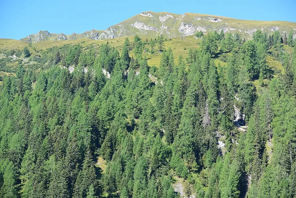 Image: flightlog · CC BY 2.0 Kreuzkogel