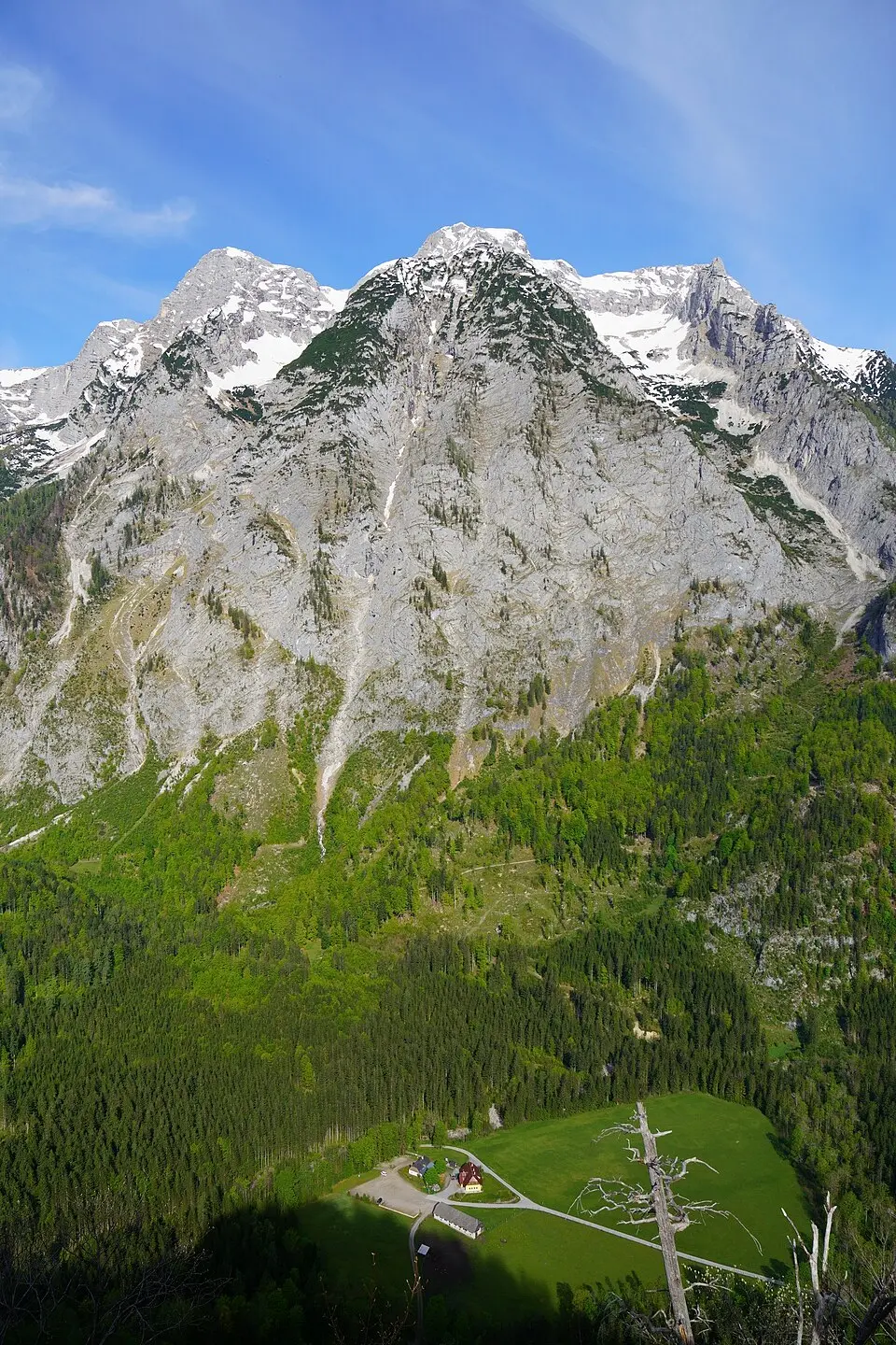 Hebenkas