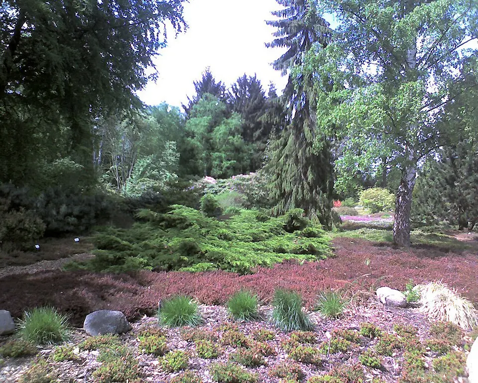 Botanischer Garten und Arboretum der Universität Greifswald