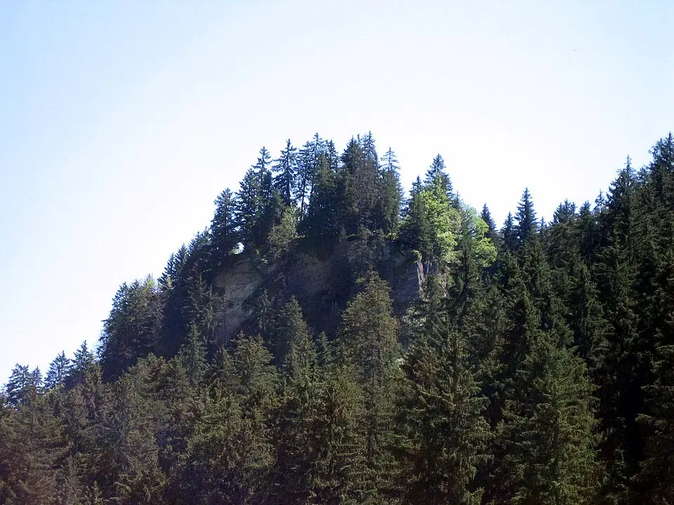 Burg Heidenberg
