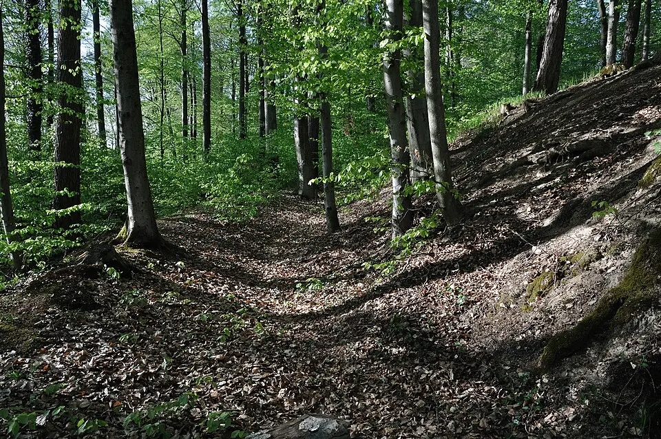 Image: Dietrich Krieger · CC BY-SA 3.0 Burg Altraderach