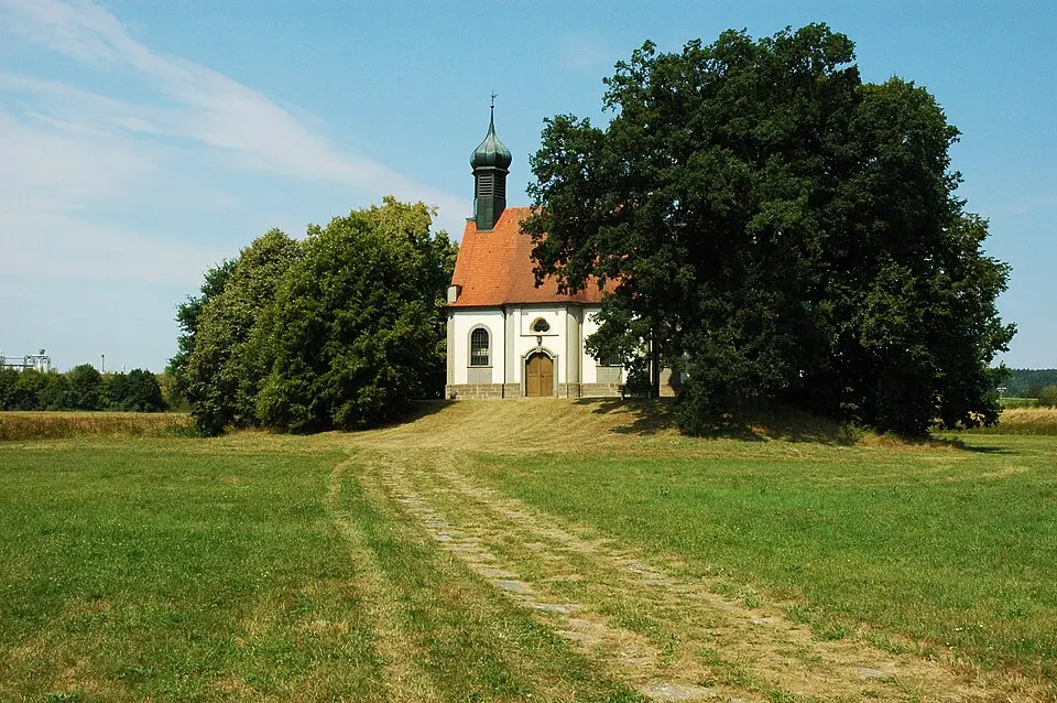Obrázek: Sandhase Wilburgstetten · CC BY-SA 4.0 Wilburgstetten