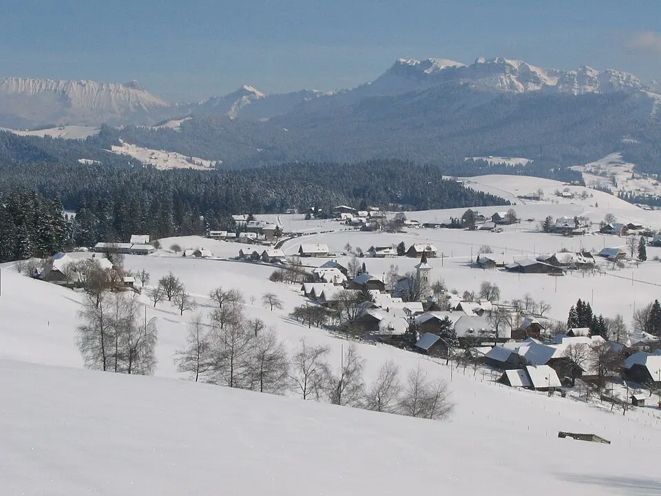 Buchholterberg