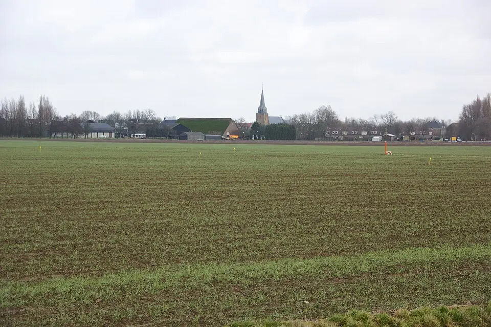 Hoeksche Waard