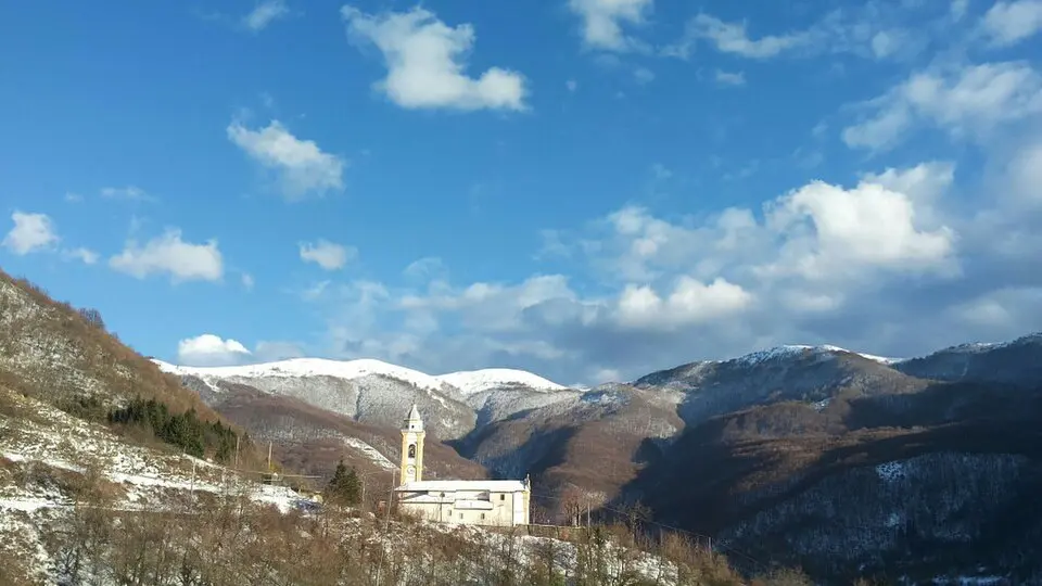 Cosola