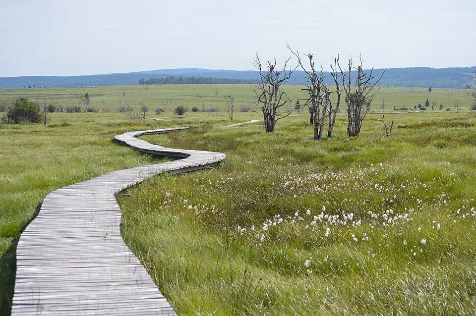 Hautes Fagnes