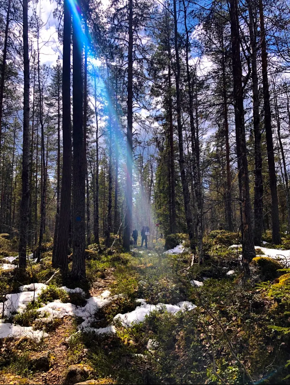 Helvetesbrännan