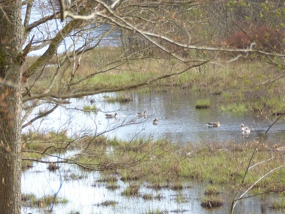 Persgärde naturreservat