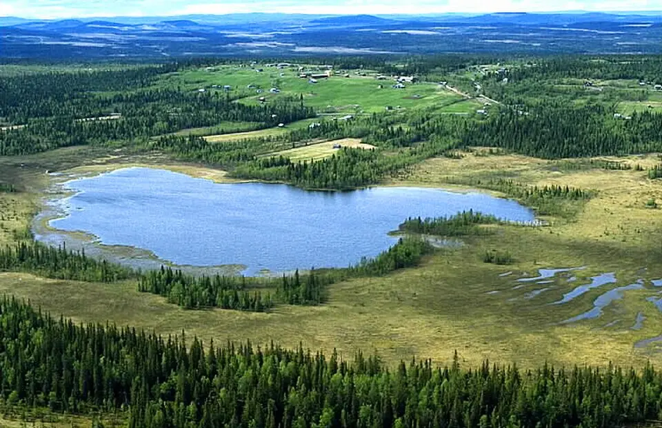 Risträskskogen