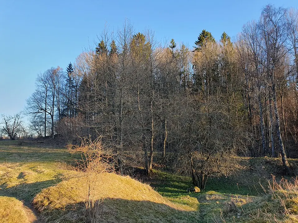 Hene-Skultorp