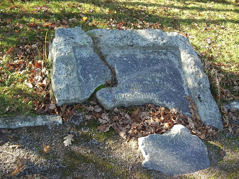 Viiratsi