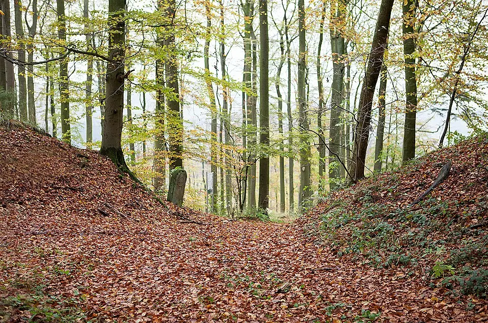 Herlingsburg