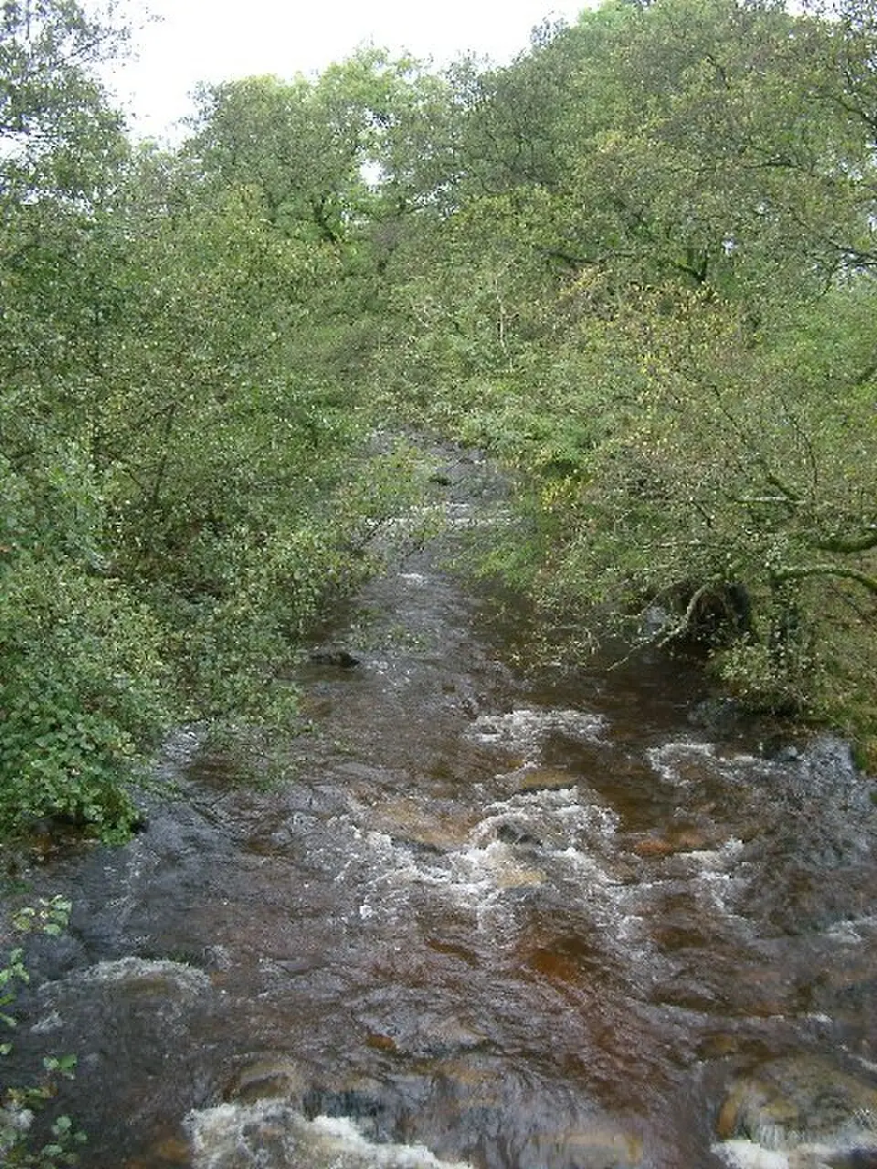 Hermitage Water