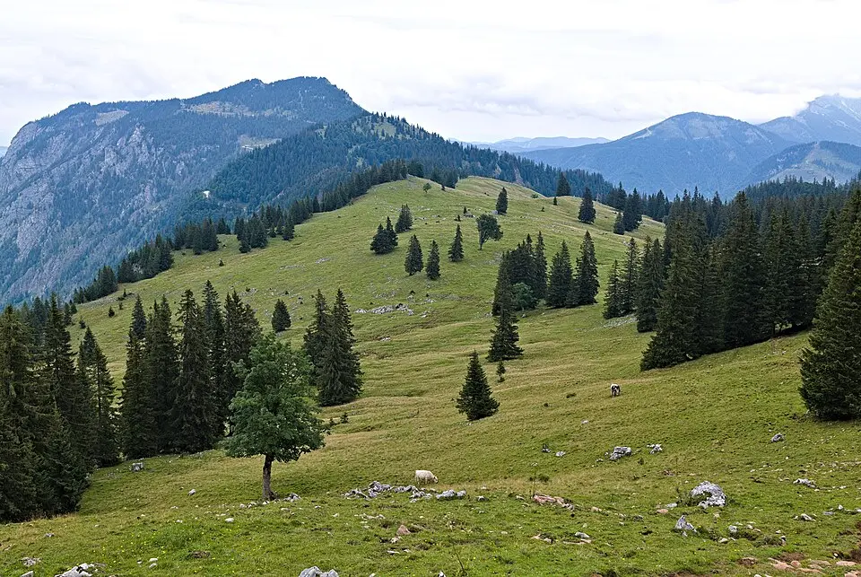 Hochreiserkogel