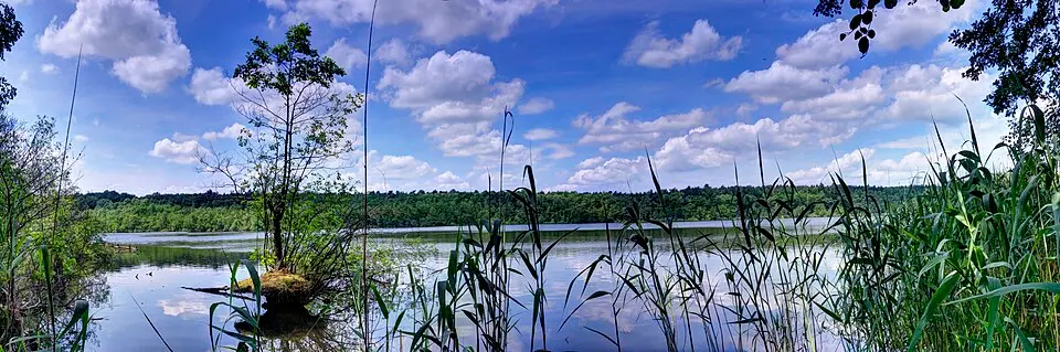 Bild: Joy-of-Nature · CC BY-SA 4.0 Herrensee