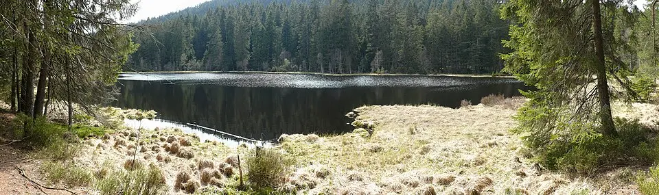 Herrenwieser See