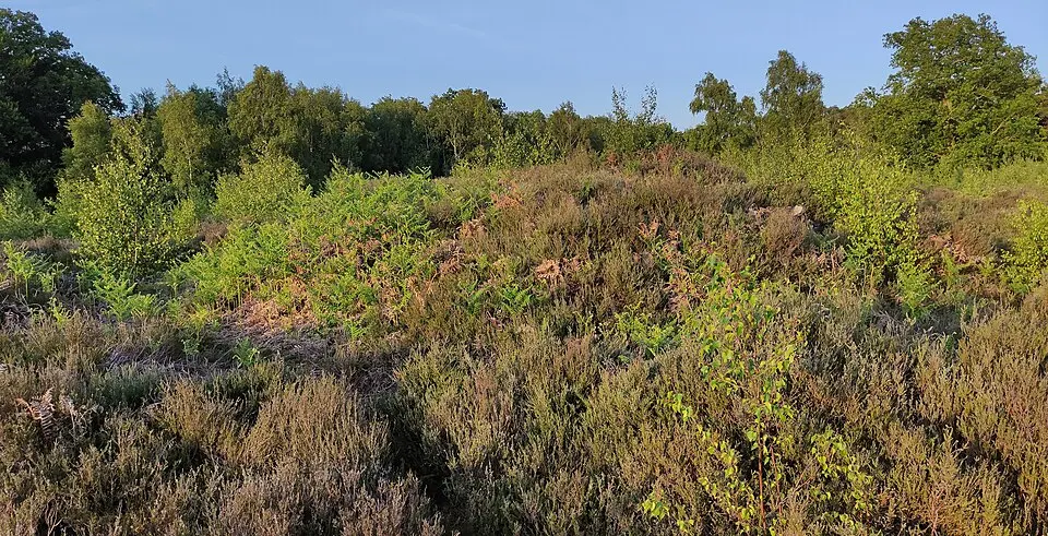 Potential Barrow