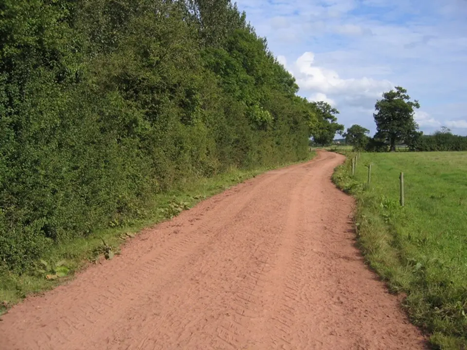 Grafton