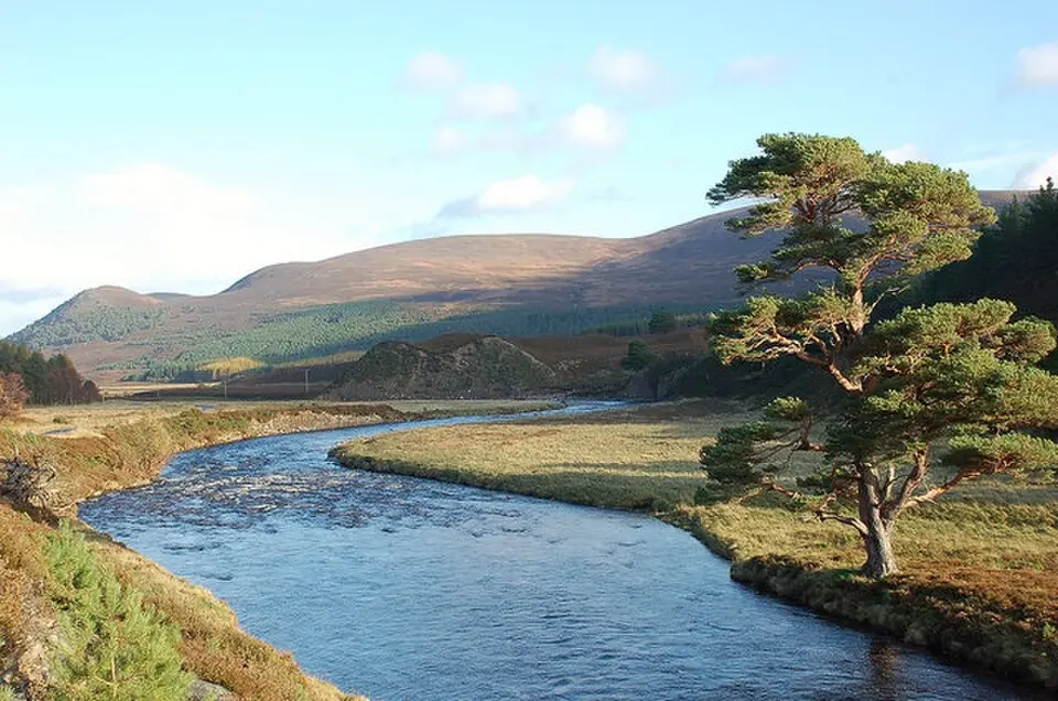 River Feshie