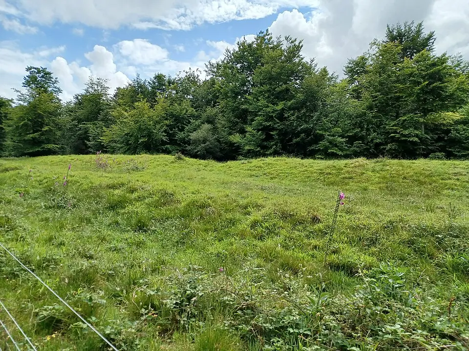 Multiple cross dyke on Heyshott Down