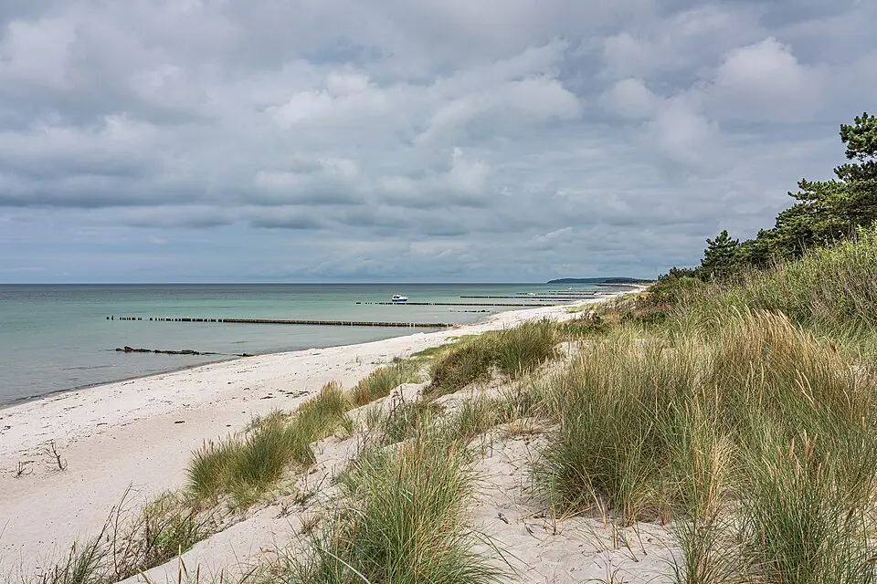 Image: A.Savin · FAL Insel Hiddensee