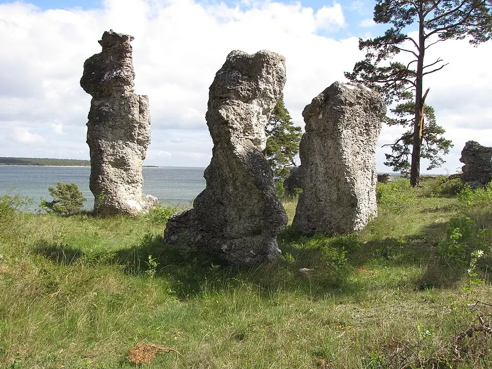 Hidevikens naturreservat