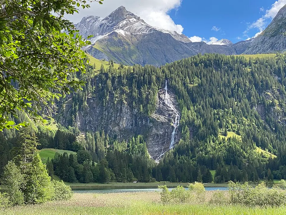 Niesehorn