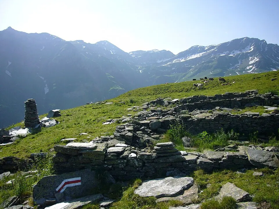Bärahora