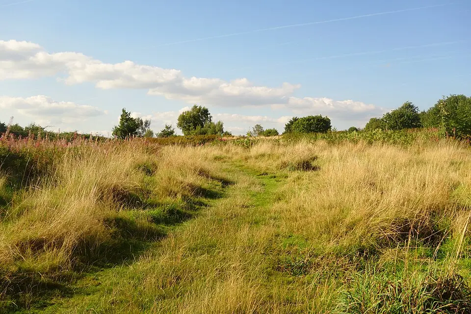 Tredegar Hillfort