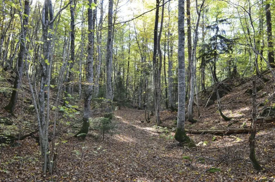 Hillestadåsen naturreservat