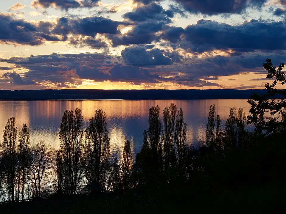 Gisebobranten