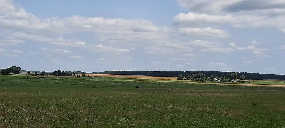 Гімбуты