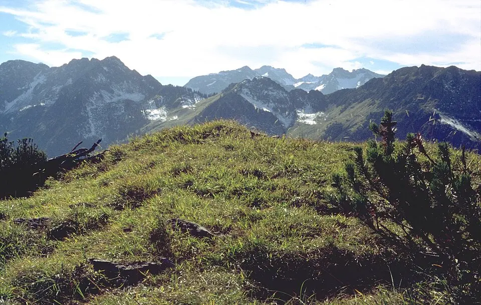 Bild: Springginggelar · Public domain Hinterer Wildgundkopf