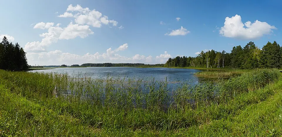 lac Hino