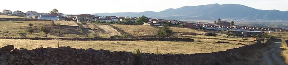 Hinojal