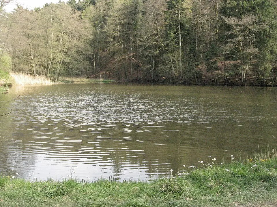 Burgstall bei den Schenkenseen