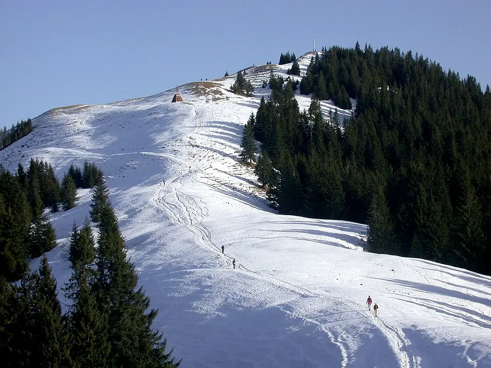 Hörnle
